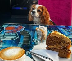 Coffee Paws Body 001