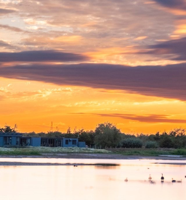 Frampton Marsh Guest Blog Main