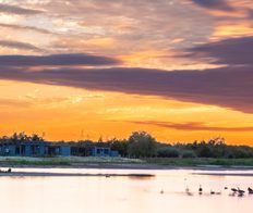 Frampton Marsh Guest Blog Main